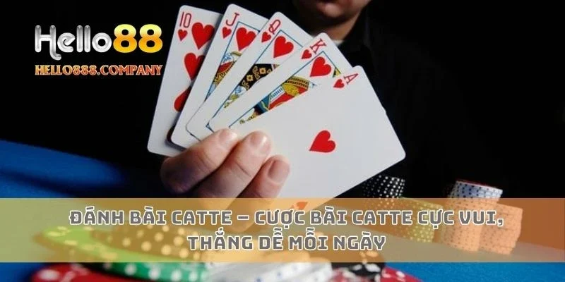 Đánh bài Catte – Cược bài catte cực vui, thắng dễ mỗi ngày