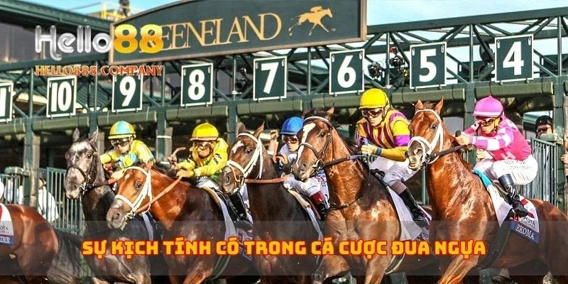 Sự kịch tính có trong cá cược đua ngựa